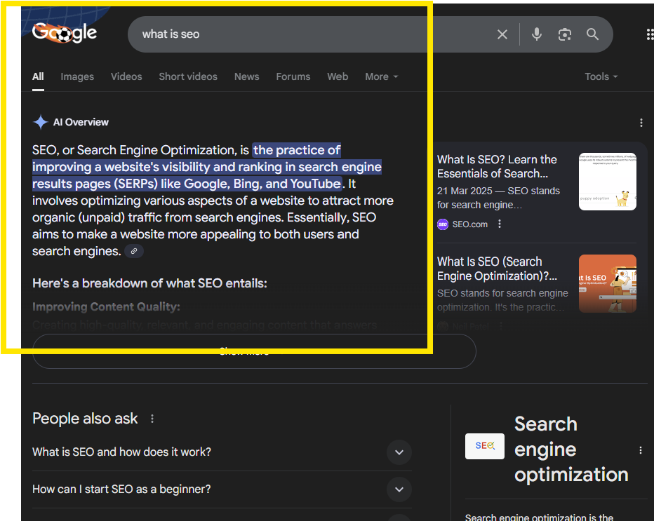 Google AI overview results